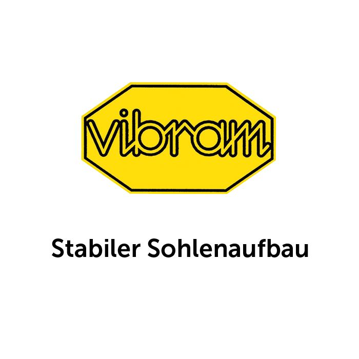 Laden Sie das Bild in Galerie -Viewer, PSS Trekkingschuh All Over GTX - 560