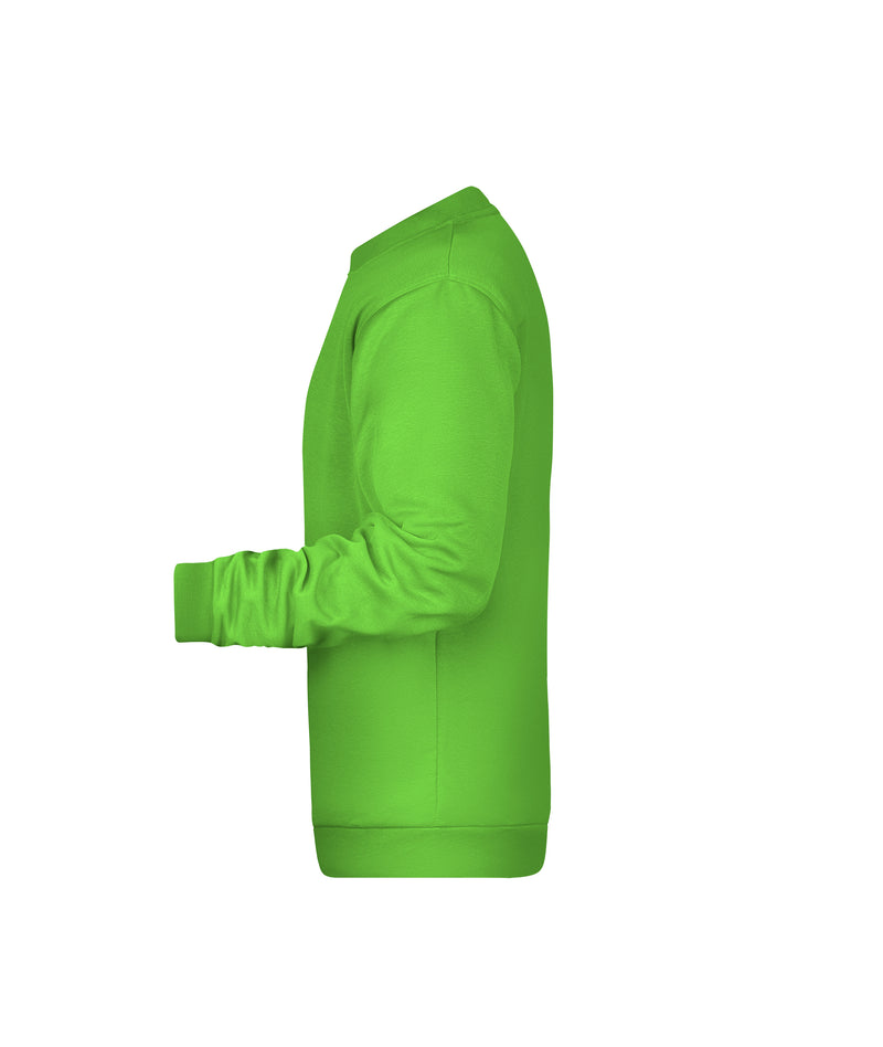 Laden Sie das Bild in Galerie -Viewer, Rundhals-Sweatshirt mit Raglanärmeln - JN794