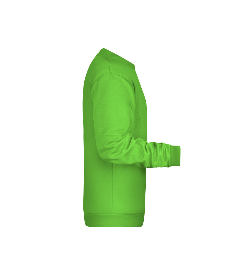 Laden Sie das Bild in Galerie -Viewer, Rundhals-Sweatshirt mit Raglanärmeln - JN794