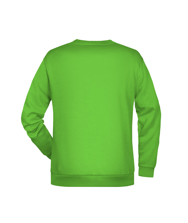 Laden Sie das Bild in Galerie -Viewer, Rundhals-Sweatshirt mit Raglanärmeln - JN794
