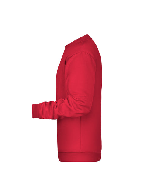 Rundhals-Sweatshirt mit Raglanärmeln - JN794