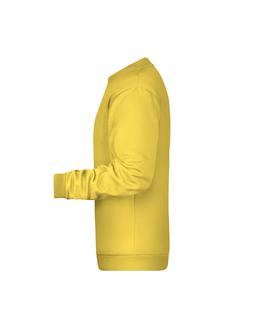 Rundhals-Sweatshirt mit Raglanärmeln - JN794
