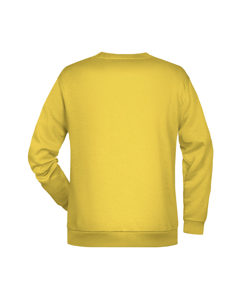 Laden Sie das Bild in Galerie -Viewer, Rundhals-Sweatshirt mit Raglanärmeln - JN794
