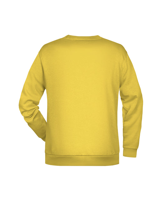 Rundhals-Sweatshirt mit Raglanärmeln - JN794