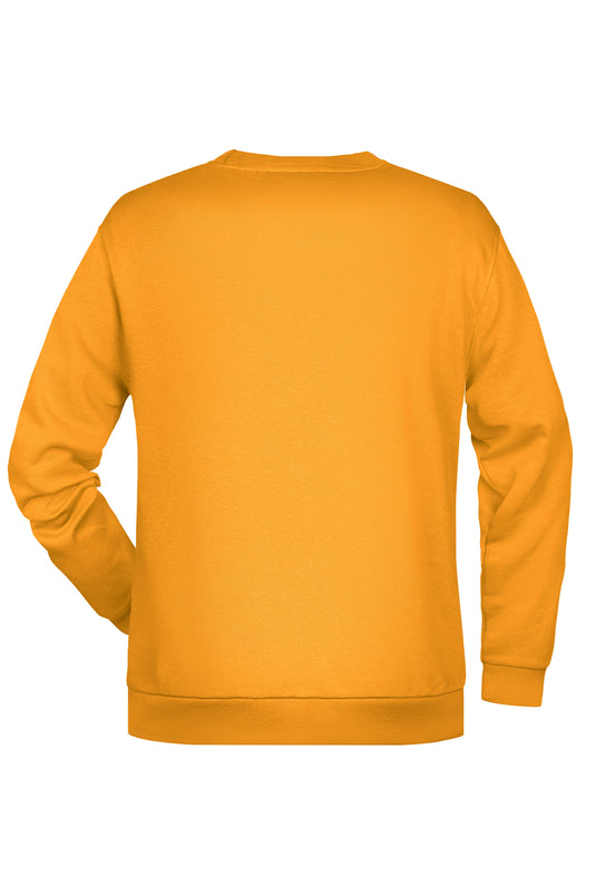 Rundhals-Sweatshirt mit Raglanärmeln - JN794